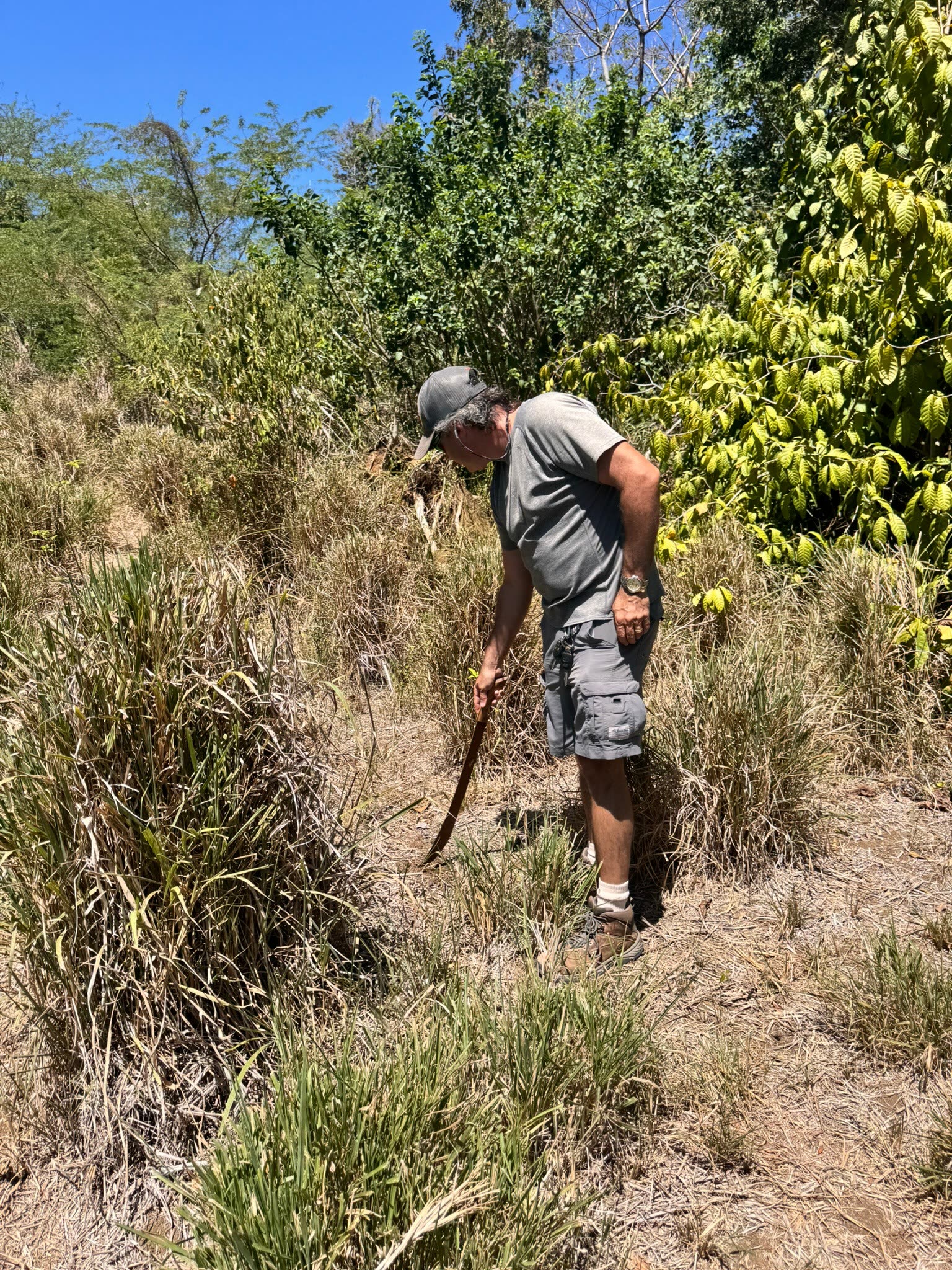 The raw Eden property before development